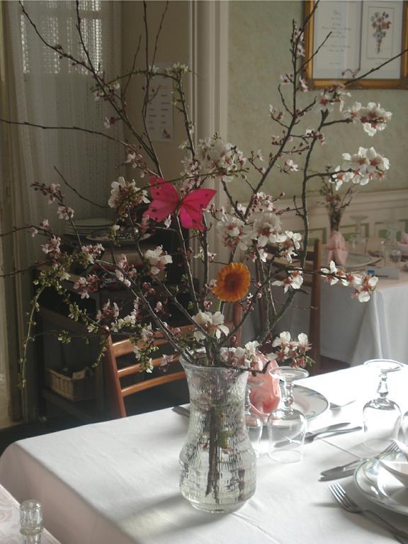 Castel Regina Hotel Châtel-Guyon Esterno foto